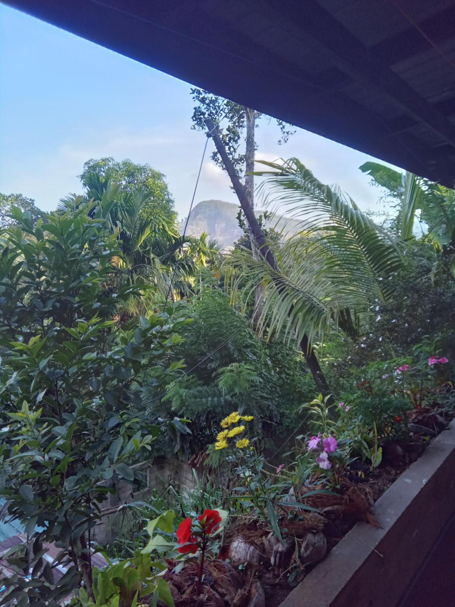 אלה Aroma Heaven Homestay מראה חיצוני תמונה