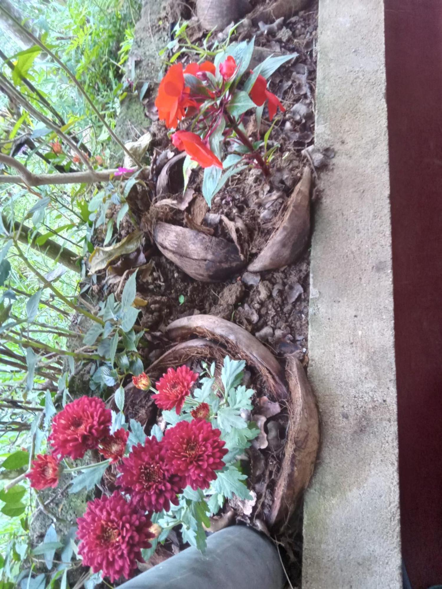 אלה Aroma Heaven Homestay מראה חיצוני תמונה